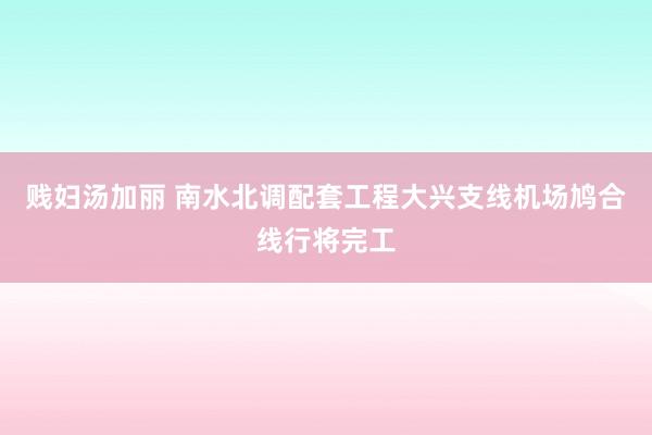 贱妇汤加丽 南水北调配套工程大兴支线机场鸠合线行将完工