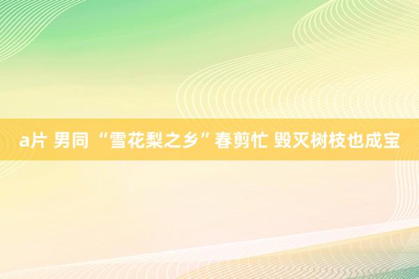 a片 男同 “雪花梨之乡”春剪忙 毁灭树枝也成宝