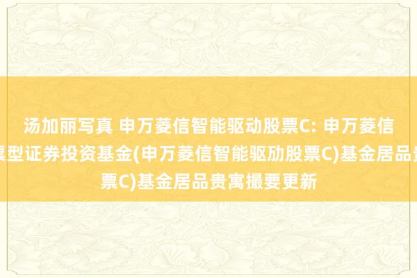 汤加丽写真 申万菱信智能驱动股票C: 申万菱信智能驱劢股票型证券投资基金(申万菱信智能驱劢股票C)基金居品贵寓撮要更新