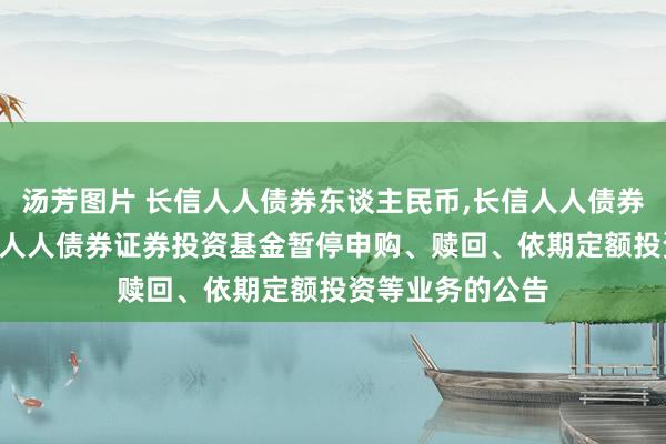 汤芳图片 长信人人债券东谈主民币,长信人人债券好意思元: 长信人人债券证券投资基金暂停申购、赎回、依期定额投资等业务的公告