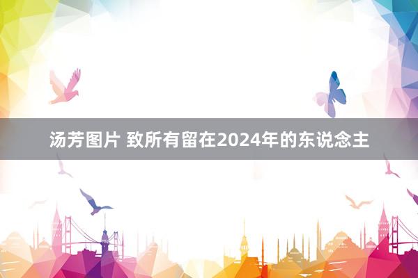 汤芳图片 致所有留在2024年的东说念主