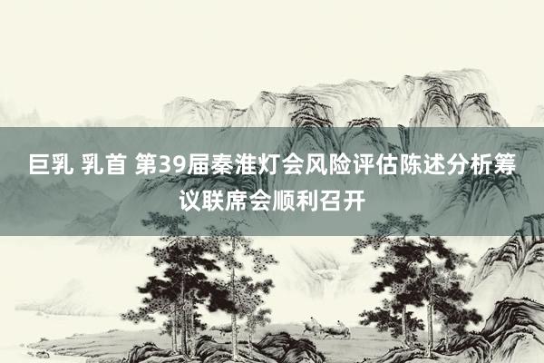 巨乳 乳首 第39届秦淮灯会风险评估陈述分析筹议联席会顺利召开