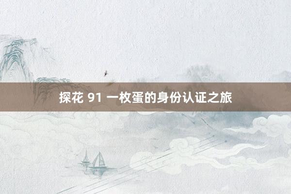 探花 91 一枚蛋的身份认证之旅