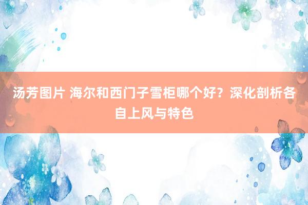 汤芳图片 海尔和西门子雪柜哪个好？深化剖析各自上风与特色