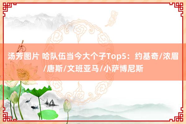 汤芳图片 哈队伍当今大个子Top5：约基奇/浓眉/唐斯/文班亚马/小萨博尼斯
