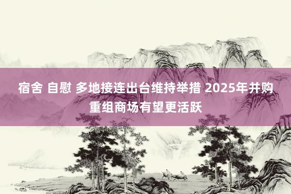 宿舍 自慰 多地接连出台维持举措 2025年并购重组商场有望更活跃