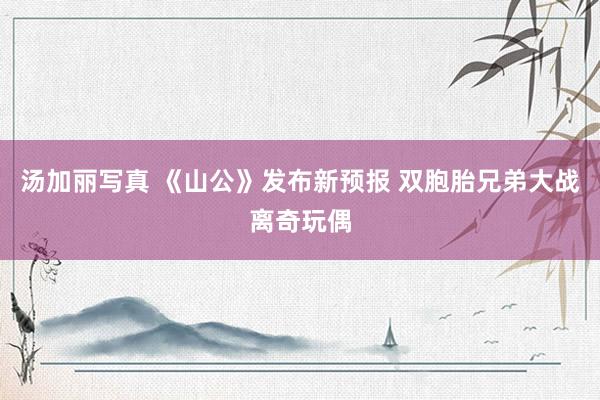 汤加丽写真 《山公》发布新预报 双胞胎兄弟大战离奇玩偶