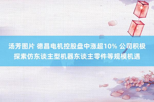 汤芳图片 德昌电机控股盘中涨超10% 公司积极探索仿东谈主型机器东谈主零件等规模机遇
