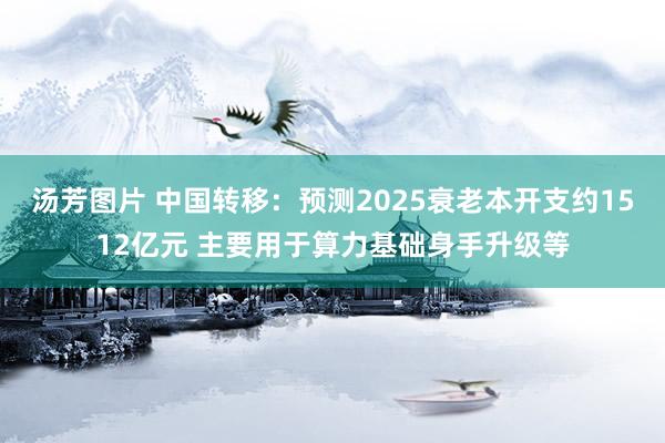 汤芳图片 中国转移：预测2025衰老本开支约1512亿元 主要用于算力基础身手升级等