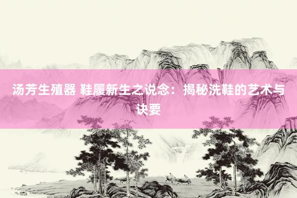 汤芳生殖器 鞋履新生之说念：揭秘洗鞋的艺术与诀要