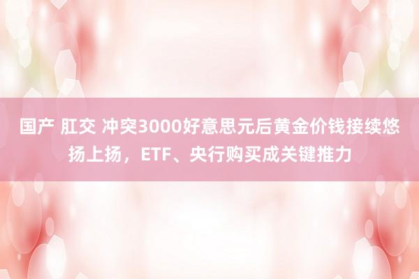 国产 肛交 冲突3000好意思元后黄金价钱接续悠扬上扬，ETF、央行购买成关键推力