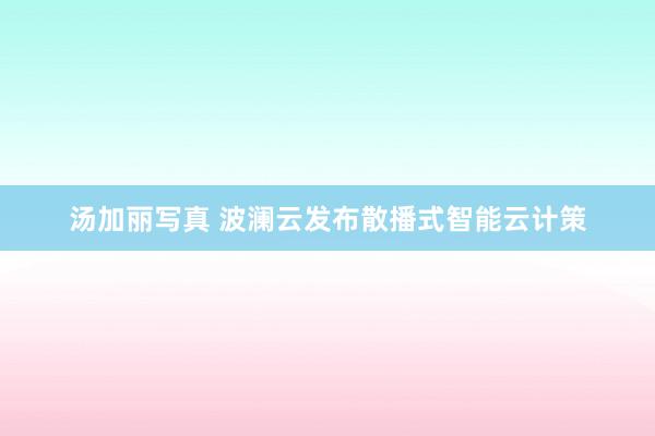 汤加丽写真 波澜云发布散播式智能云计策