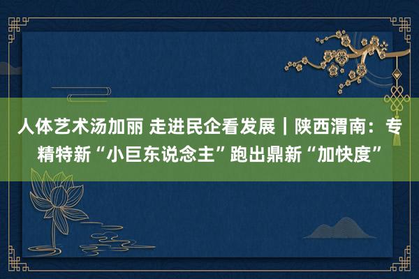人体艺术汤加丽 走进民企看发展｜陕西渭南：专精特新“小巨东说念主”跑出鼎新“加快度”