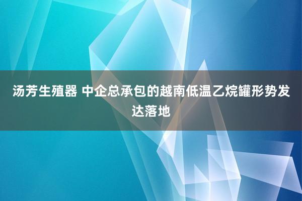 汤芳生殖器 中企总承包的越南低温乙烷罐形势发达落地