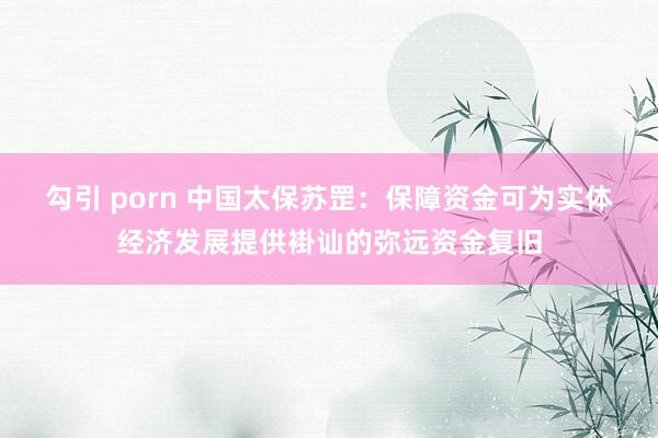 勾引 porn 中国太保苏罡：保障资金可为实体经济发展提供褂讪的弥远资金复旧