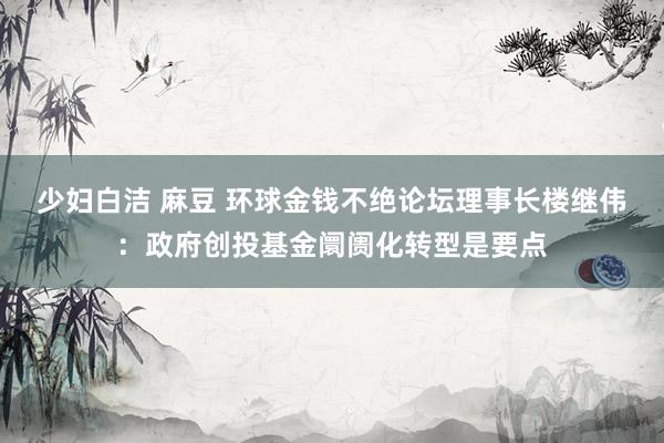 少妇白洁 麻豆 环球金钱不绝论坛理事长楼继伟：政府创投基金阛阓化转型是要点
