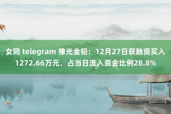 女同 telegram 豫光金铅：12月27日获融资买入1272.66万元，占当日流入资金比例28.8%