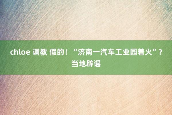 chloe 调教 假的！“济南一汽车工业园着火”？当地辟谣