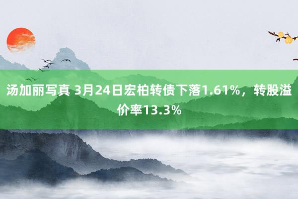 汤加丽写真 3月24日宏柏转债下落1.61%，转股溢价率13.3%