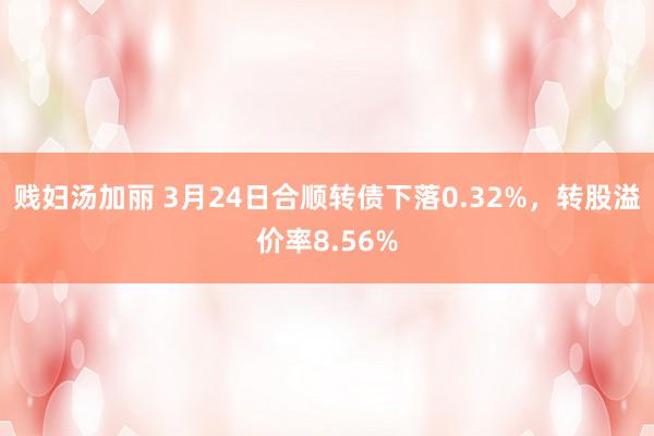贱妇汤加丽 3月24日合顺转债下落0.32%，转股溢价率8.56%