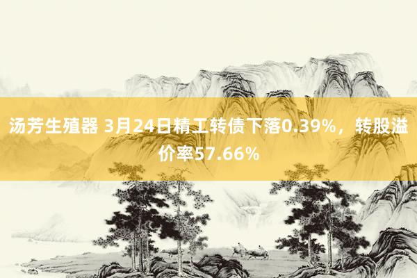 汤芳生殖器 3月24日精工转债下落0.39%，转股溢价率57.66%
