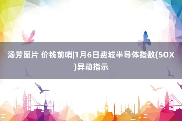 汤芳图片 价钱前哨|1月6日费城半导体指数(SOX)异动指示