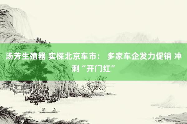 汤芳生殖器 实探北京车市： 多家车企发力促销 冲刺“开门红”