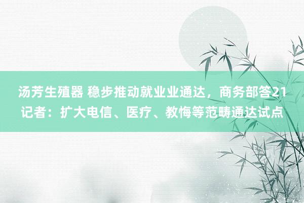 汤芳生殖器 稳步推动就业业通达，商务部答21记者：扩大电信、医疗、教悔等范畴通达试点