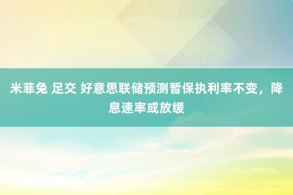 米菲兔 足交 好意思联储预测暂保执利率不变，降息速率或放缓