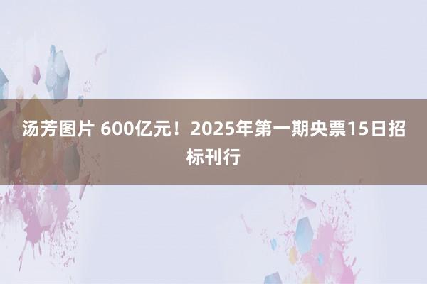 汤芳图片 600亿元！2025年第一期央票15日招标刊行