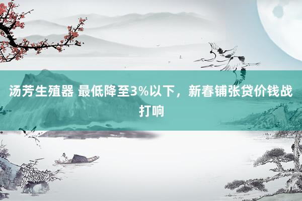 汤芳生殖器 最低降至3%以下，新春铺张贷价钱战打响