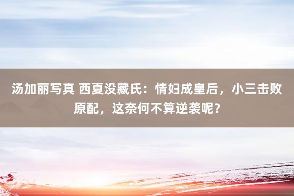 汤加丽写真 西夏没藏氏：情妇成皇后，小三击败原配，这奈何不算逆袭呢？