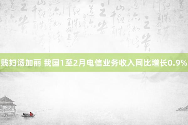 贱妇汤加丽 我国1至2月电信业务收入同比增长0.9%