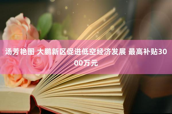 汤芳艳图 大鹏新区促进低空经济发展 最高补贴3000万元