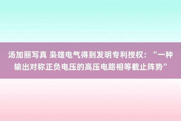 汤加丽写真 枭雄电气得到发明专利授权：“一种输出对称正负电压的高压电路相等截止阵势”