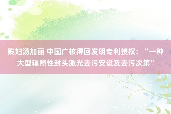 贱妇汤加丽 中国广核得回发明专利授权：“一种大型辐照性封头激光去污安设及去污次第”