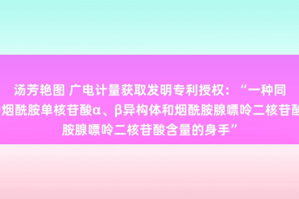 汤芳艳图 广电计量获取发明专利授权：“一种同期测定食物中烟酰胺单核苷酸α、β异构体和烟酰胺腺嘌呤二核苷酸含量的身手”
