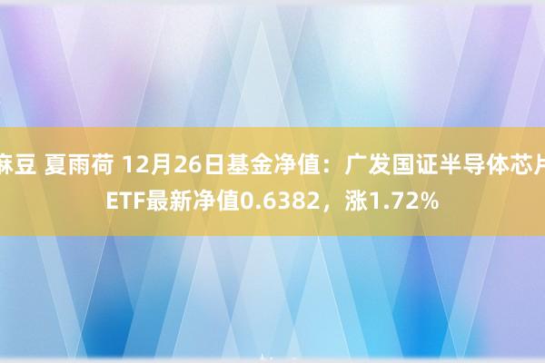 麻豆 夏雨荷 12月26日基金净值：广发国证半导体芯片ETF最新净值0.6382，涨1.72%