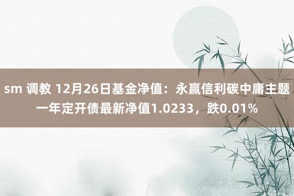 sm 调教 12月26日基金净值：永赢信利碳中庸主题一年定开债最新净值1.0233，跌0.01%