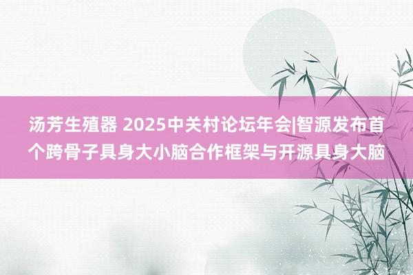 汤芳生殖器 2025中关村论坛年会|智源发布首个跨骨子具身大小脑合作框架与开源具身大脑