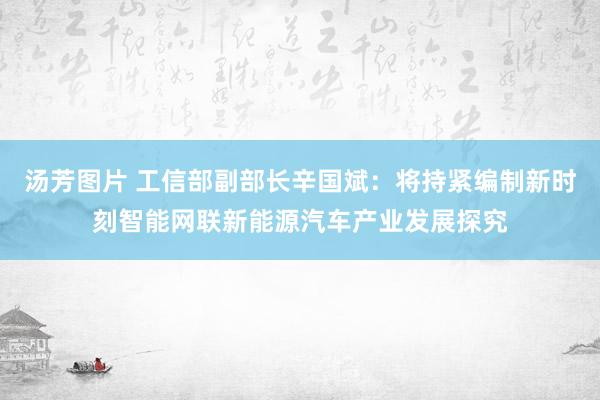 汤芳图片 工信部副部长辛国斌：将持紧编制新时刻智能网联新能源汽车产业发展探究