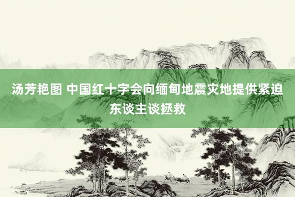 汤芳艳图 中国红十字会向缅甸地震灾地提供紧迫东谈主谈拯救