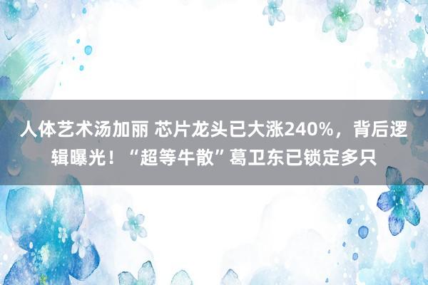 人体艺术汤加丽 芯片龙头已大涨240%，背后逻辑曝光！“超等牛散”葛卫东已锁定多只