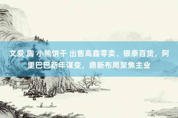 文爱 胸 小熊饼干 出售高鑫零卖、银泰百货，阿里巴巴新年谋变，鼎新布局聚焦主业