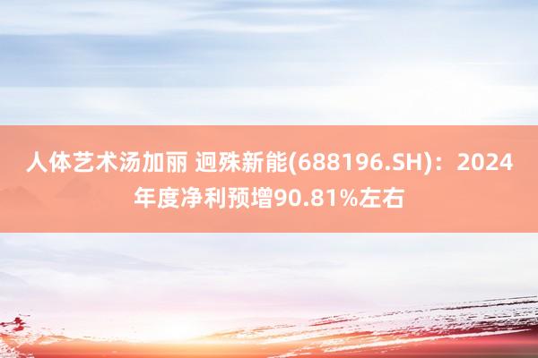 人体艺术汤加丽 迥殊新能(688196.SH)：2024年度净利预增90.81%左右