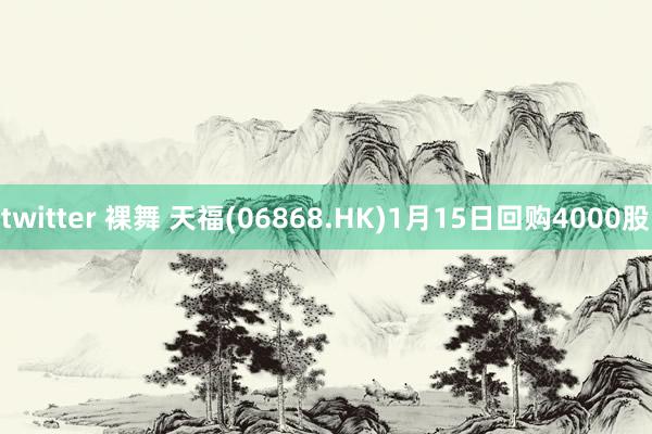 twitter 裸舞 天福(06868.HK)1月15日回购4000股