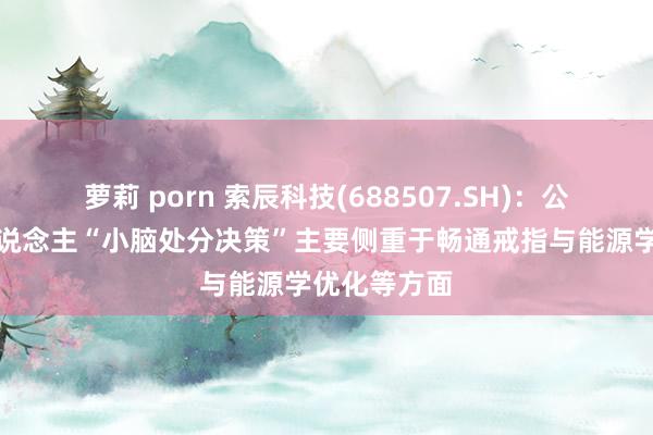 萝莉 porn 索辰科技(688507.SH)：公司的机器东说念主“小脑处分决策”主要侧重于畅通戒指与能源学优化等方面