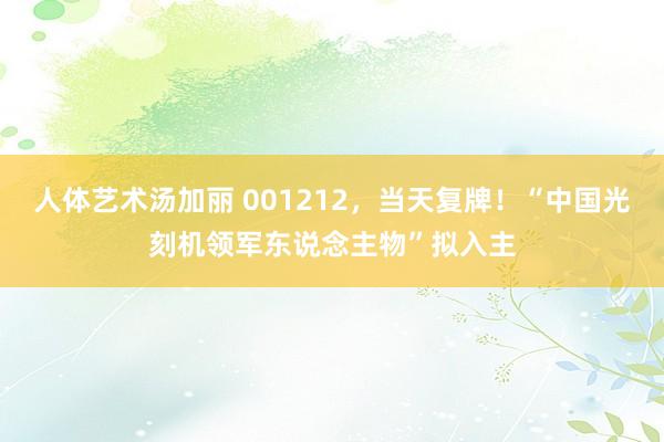 人体艺术汤加丽 001212，当天复牌！“中国光刻机领军东说念主物”拟入主