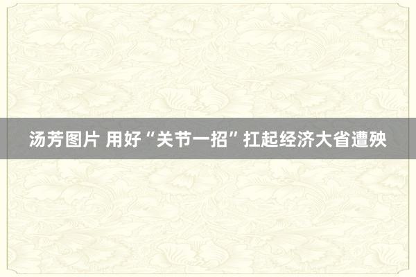 汤芳图片 用好“关节一招”扛起经济大省遭殃