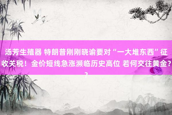 汤芳生殖器 特朗普刚刚晓谕要对“一大堆东西”征收关税！金价短线急涨濒临历史高位 若何交往黄金？
